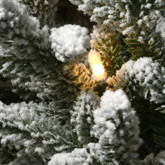 4ft. Pre-Lit Iceland Fir Entrance Artificial Christmas Tree, Clear Lights